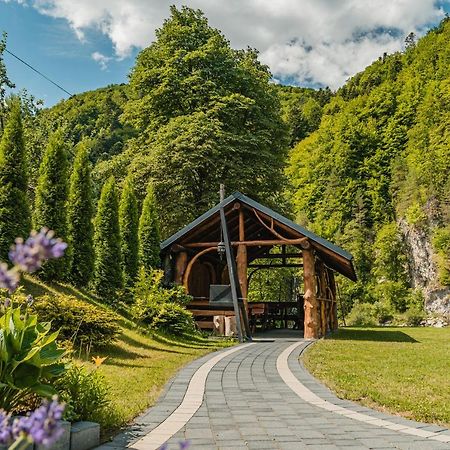 Apartamenty Magia Gor Szczawnica Eksteriør bilde